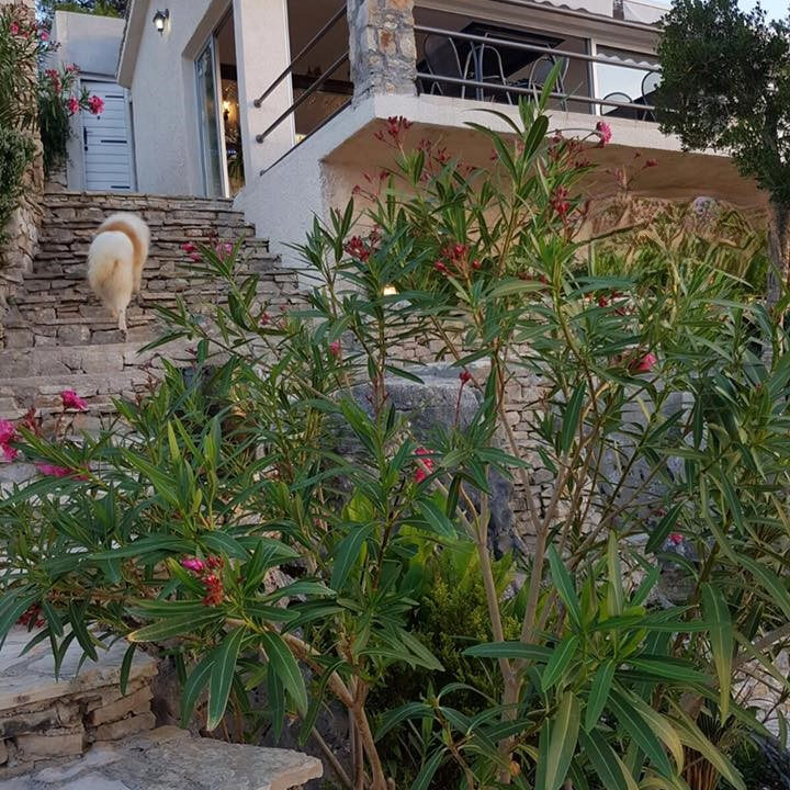 Haus am Meer auf der Insel Šolta